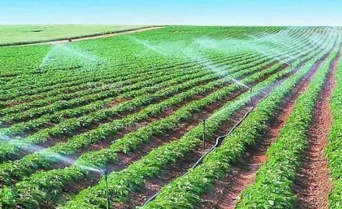 入B网站农田高 效节水灌溉